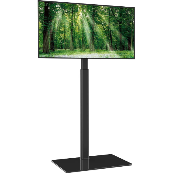 Screen 55'' mit Bodenstandfuß